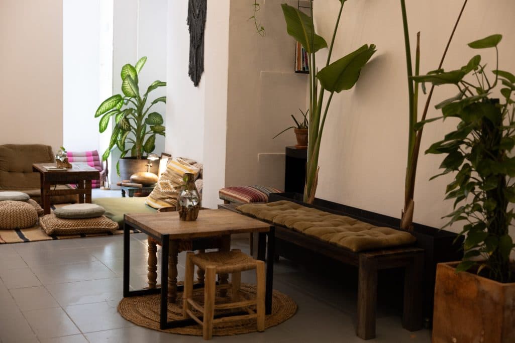 Cafetería Herbivore